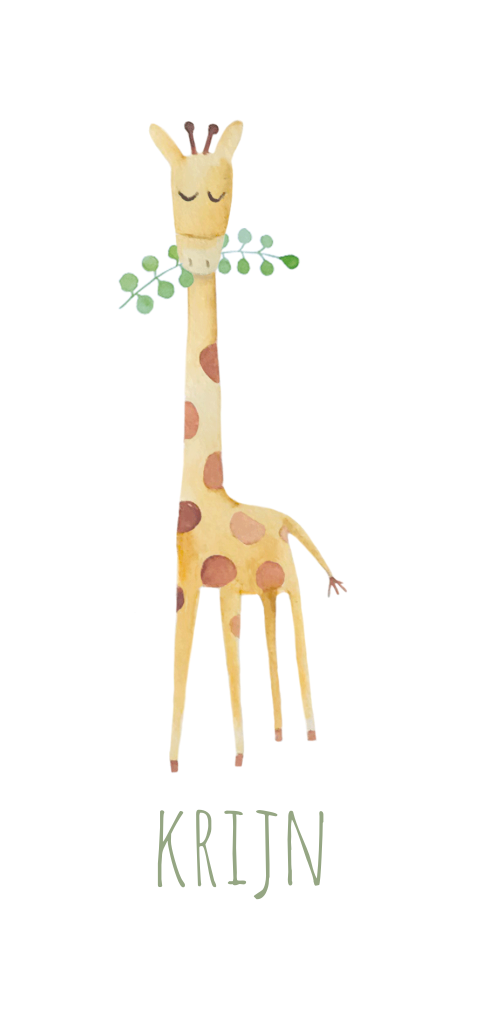 geboortekaartje met giraffe