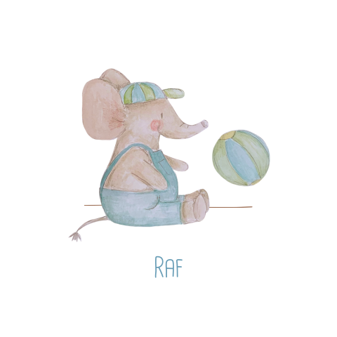 lief geboortekaartje voor jongen met olifant en bal