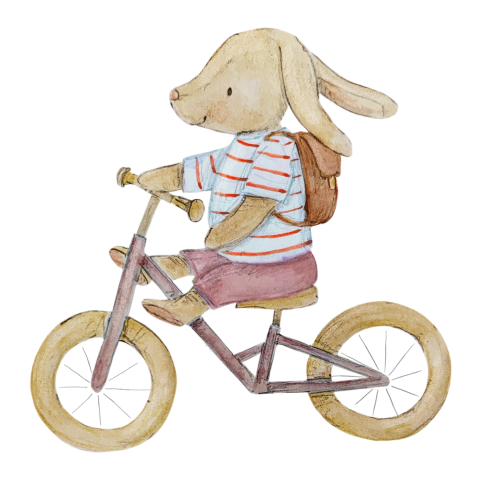 geboortekaartje fiets meisje stoer met konijn