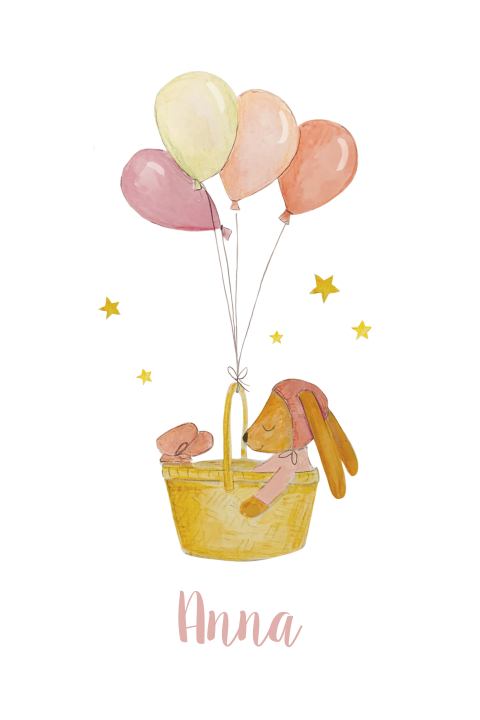 lief geboortekaartje mandje konijn en ballonnen