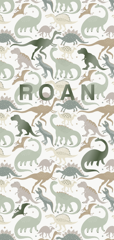 Geboortekaartje jongen Dino collectie Jollein hoogglans