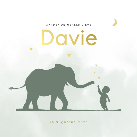 Aquarel silhouet geboortekaartje jongen met olifant, hartjes en folie