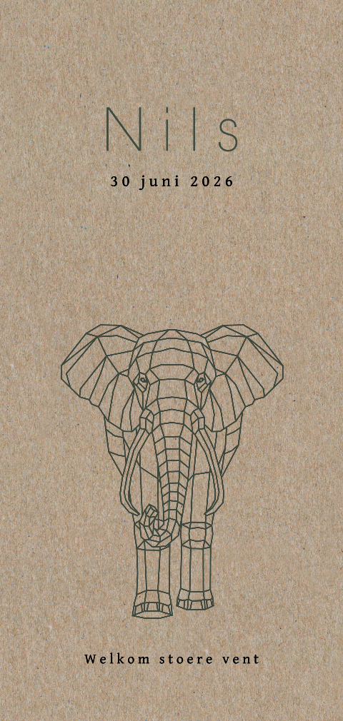 Echt kraftpapier geboortekaartje met ronde hoeken geometrisch olifant