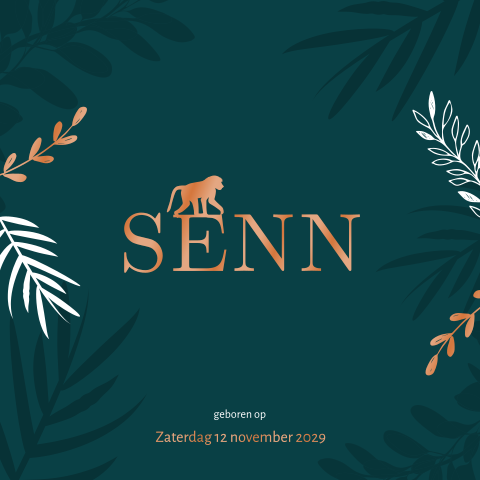 Jungle geboortekaartje met hoogglans blad en aapje