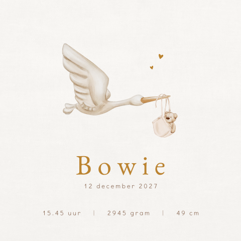 Canvasposter unisex met ooievaar en teddybeer