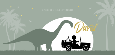 Geboortekaartje silhouet jongen in jeep met dinosaurus