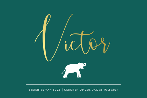 Goudfolie jongenskaartje met olifant