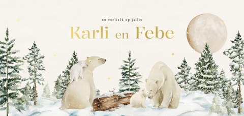 Tweeling geboortekaartje met ijsberen in een winterlandschap