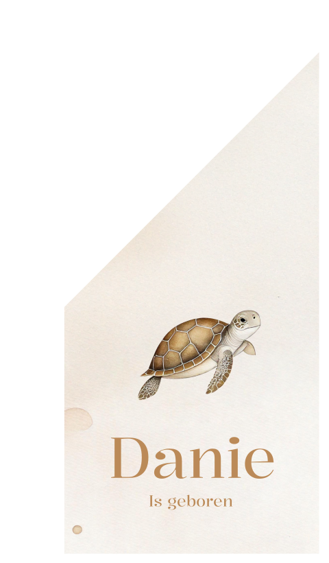 Unisex geboortevlag met schildpad