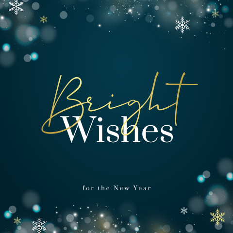 Luxe zakelijke kerstkaart bright wishes met ijskristal