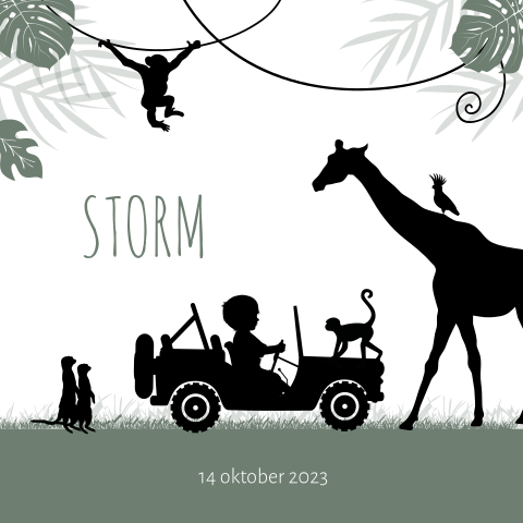 Jungle silhouetkaartje jongen in jeep met dieren