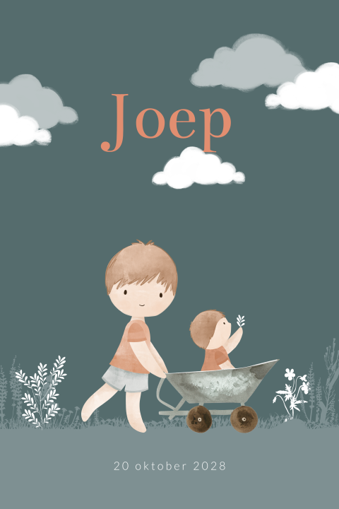 Jongens geboortekaartje met broertjes, kruiwagen en wolken