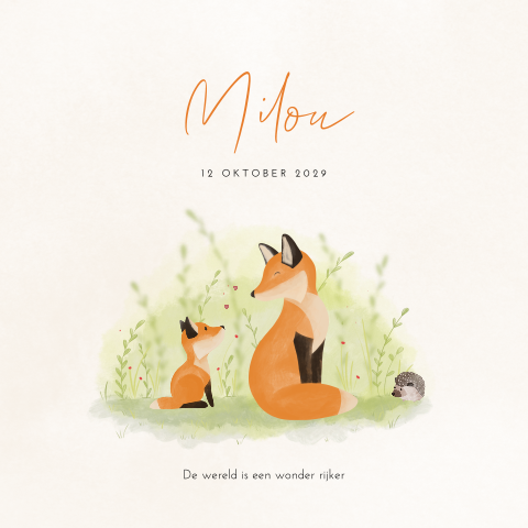 Lief meisjes geboortekaartje met vosjes en aquarel