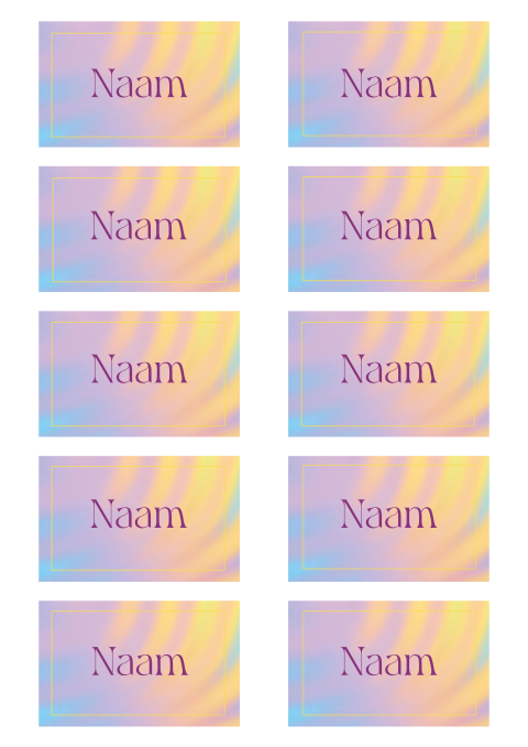 Pastel naamkaartjes 21 diner met een subtiel kader