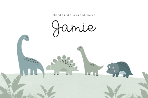 Geboortekaartje dinosaurussen voor een jongen