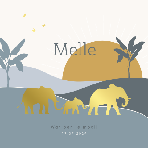 Silhouet geboortekaartje jongen ton sur ton olifantjes en landschap