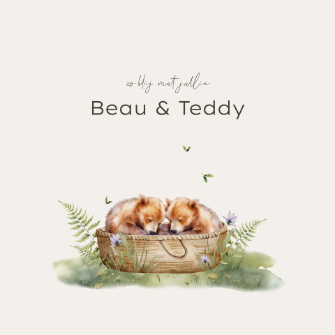 Lief tweeling geboortekaartje unisex met beren in mand