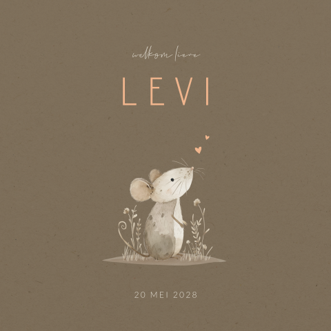 Schattig jongens geboortekaartje met illustratie van muis