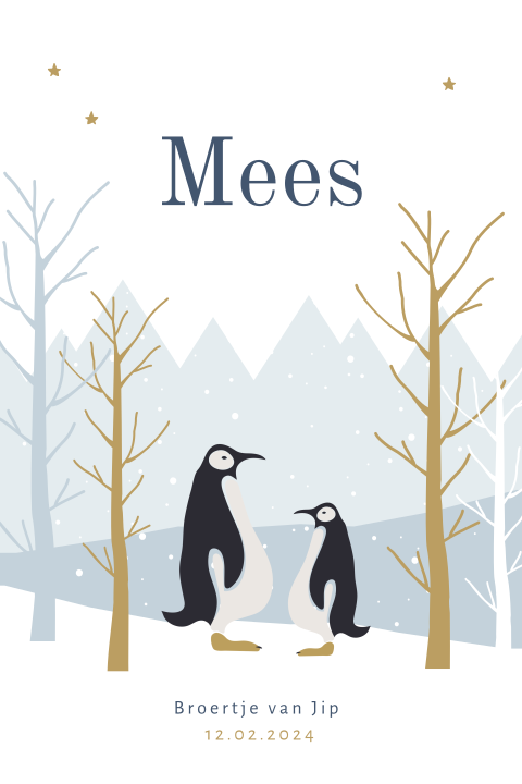 Pinguïns in de sneeuw winters geboortekaartje voor een broertje