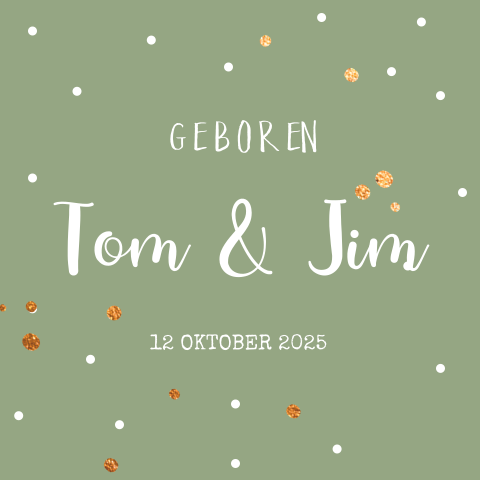 Geboortekaartje tweeling met confetti