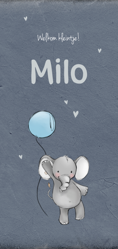 Langwerpig geboortekaartje met olifant en ballon