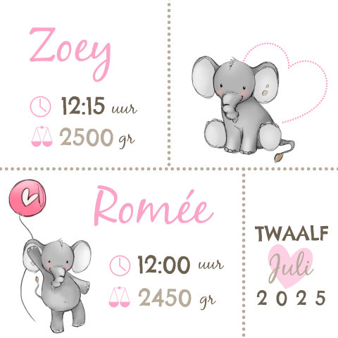 Lief geboortekaartje voor een meisjestweeling