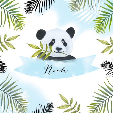 Hip geboortekaartje voor jongen met panda en jungle takken