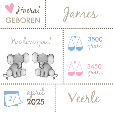 Geboortekaartje voor tweeeiige tweeling met olifanten