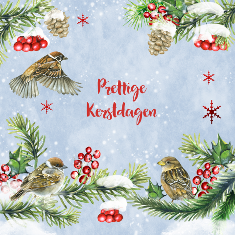 Winterse kerstkaart met kersttakjes en vogeltjes