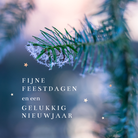 Vierkante zakelijke kerstkaart met foto dennentak en roségoudfolie