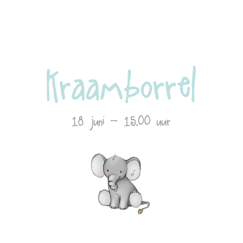 Schattig kraamborrelkaartje met olifant voor jongen