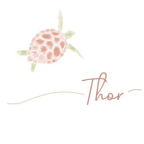 Sticker met schattige schildpad van waterverf