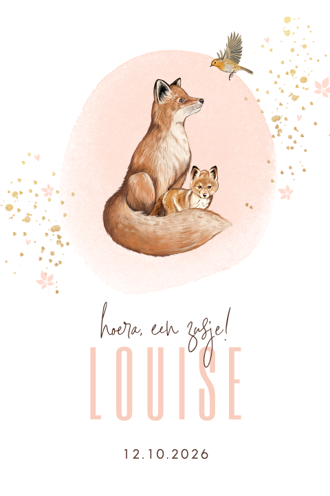 Lief geboortekaartje zusje met vosjes en roodborstje