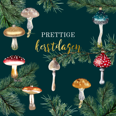 Kerstkaartje met paddestoelen ornamenten in verschillende kleuren