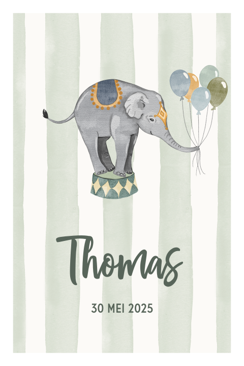 Vintage geboortekaartje jongen met olifant en ballonnen