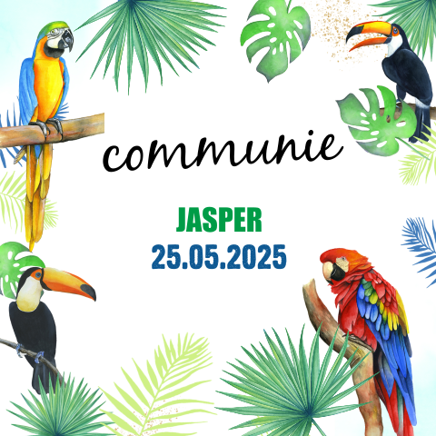 Vrolijke communiekaart met tropische vogels