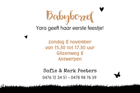 Babyborrel uitnodiging met vlindertje