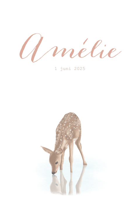Lief geboortekaartje met hertje en typografie