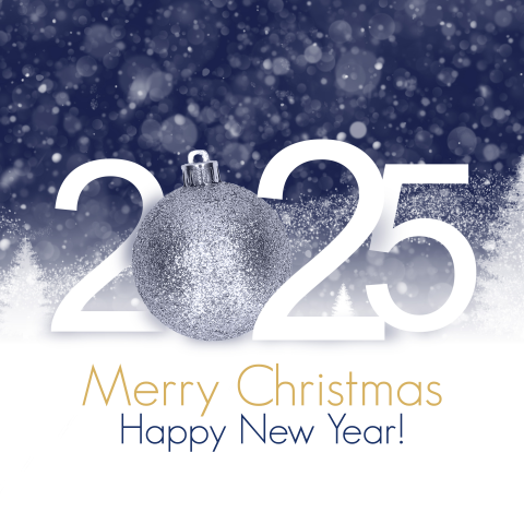 Zakelijke kerstkaart 2025 blauw