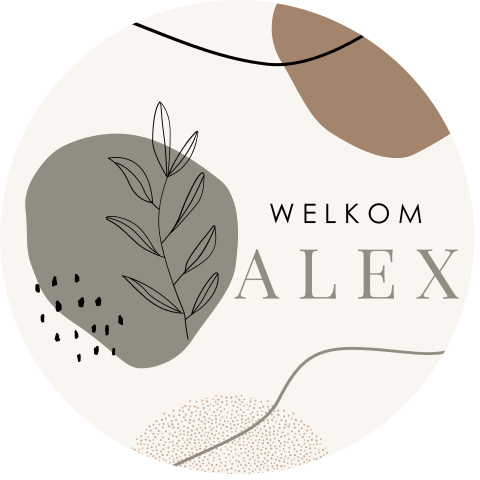Raamsticker met organische vormen en takje