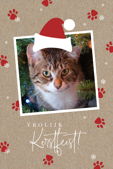 Grappige Kerstkaart in kraft-look met kat en patroon van pootjes