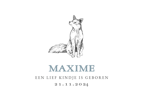 Trendy geboortekaart met getekend vosje