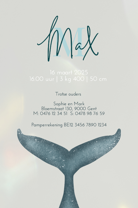 Geboortekaartje van acrylglas met walvis staart
