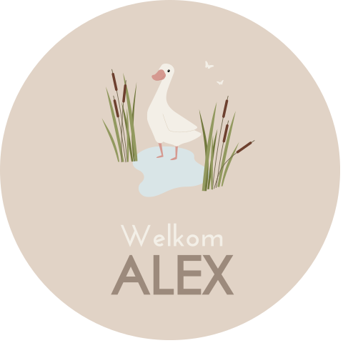 Raamsticker met gans