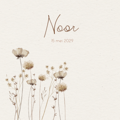 Geboortekaartje meisje in pastelkleur met droogbloemen