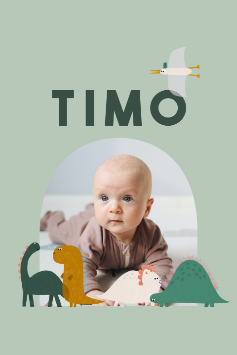Coole mintgrüne Geburtsanzeige mit Dinosauriern und Foto
