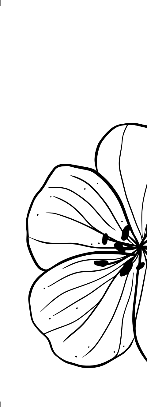 Transparentpapier Umschlag in Schwarz Weiß mit Blumen