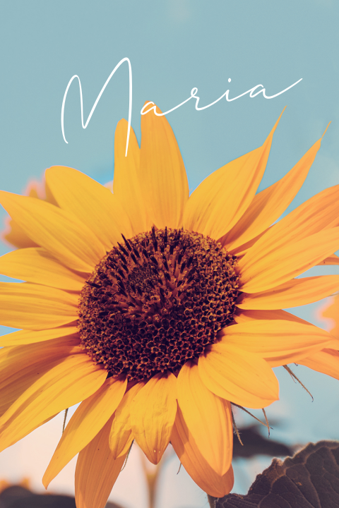 Trauerkarte mit Sonnenblume