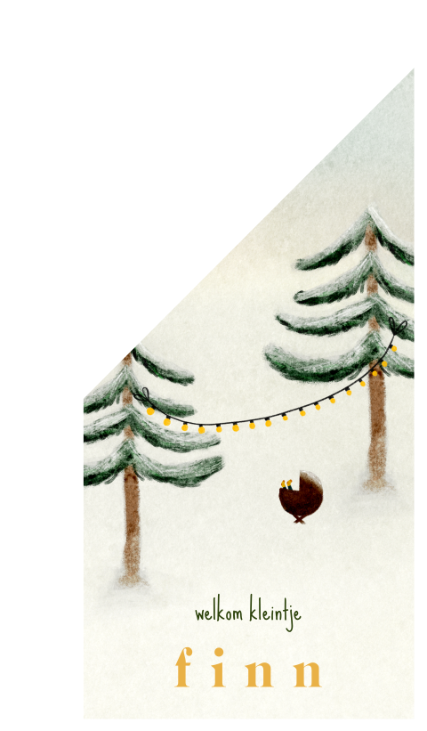 Geboortevlag winterbos wiegje lampjes sneeuw
