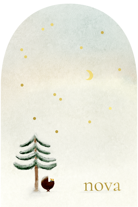 Geboortekaartje boogvorm winternacht boom wiegje